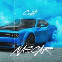 Nascar - Single - Cxdet