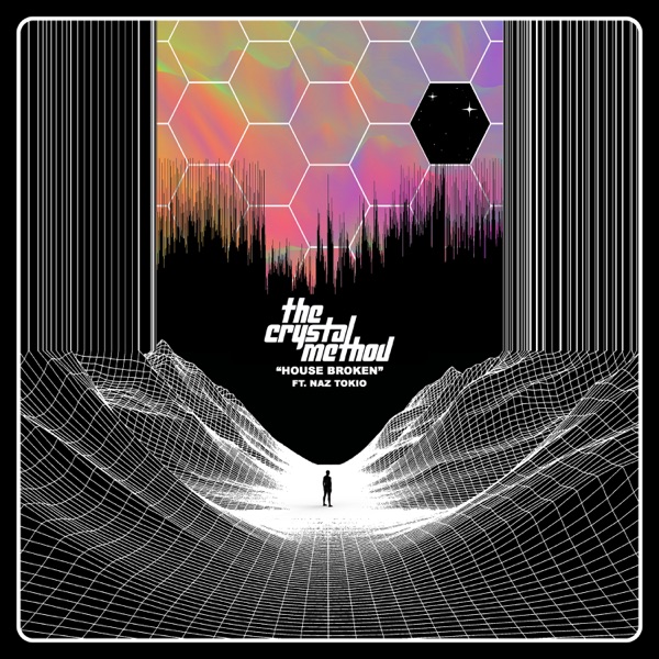 House Broken (feat. Naz Tokio) - Single