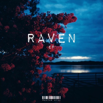 Raven (Ep) - Single