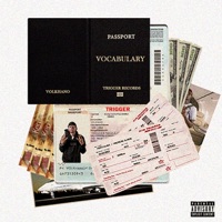 D.M'S (Am Busy) - Single - Volkhano