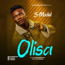 Olisa S-Model