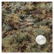 Alles nix konkretes - AnnenMayKantereit