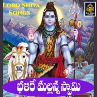 Balire Mallanna Swamy - Single - Anilkumar