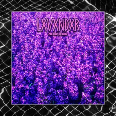 Lxvxndxr