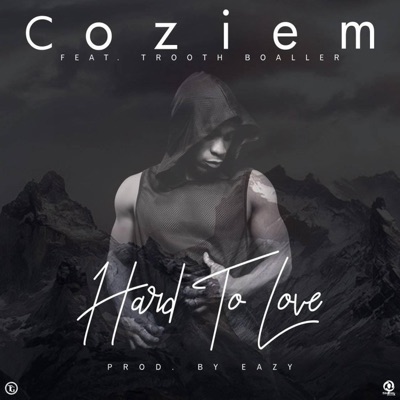 Hard To Love - Single