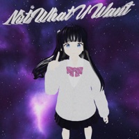 Not What U Want - Single - wakeupsh1fty, Kobana & Zaybeezy