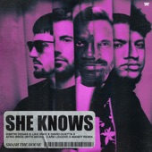 She Knows (with Akon) [3 Are Legend x MANDY Remix] artwork