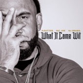 What It Came Wit (feat. Fat Joe) artwork