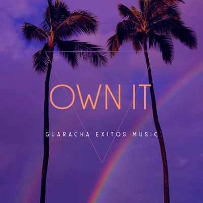 OWN IT (Dj Andres Galvis Remix) - Single