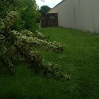 YEN1000(Yn3) // [_DjKL4XON_] - Single - gedermvn