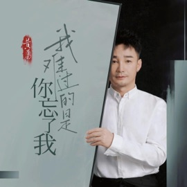 我难过的是你忘了我 Huang Yong