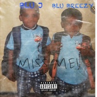 Miss me (feat. Blu Breezy) - Single - BLU J