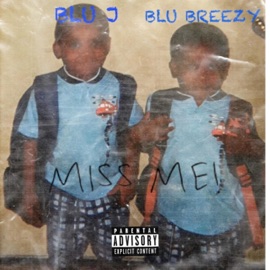 Miss me (feat. Blu Breezy) BLU J