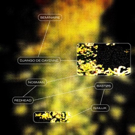 Séminaire (feat. NosmanCRN, Naillik, bastos & Redhead) Django De Cayenne