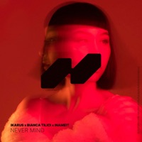 Never Mind - Single - Ikarus & Bianca Tilici