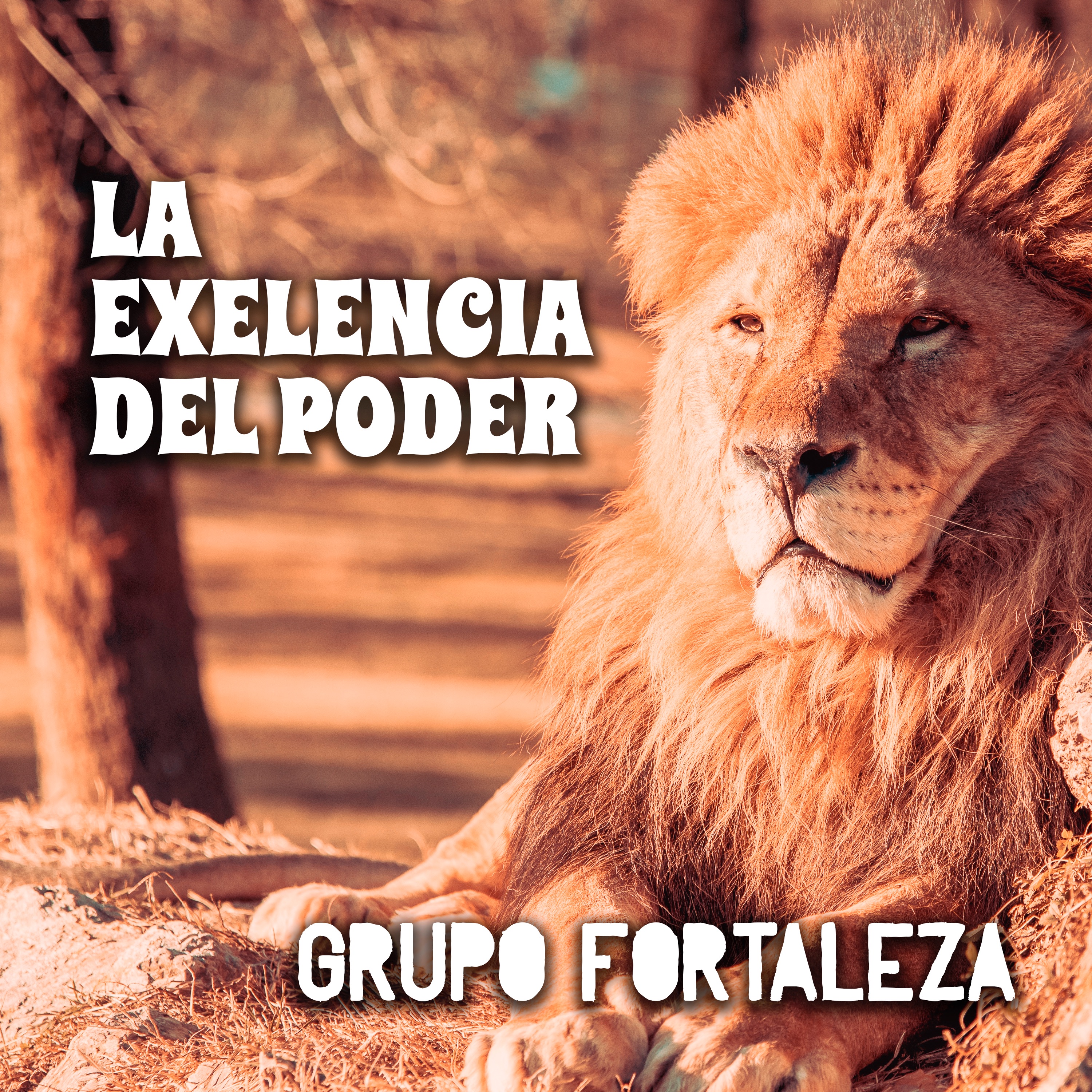 La Exelencia del Poder