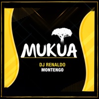 Montengo  - Single - DJ Renaldo