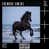 HORSE HIGH (feat. Sick-G & Rvnking) - Single - ADDEX aka Little Bastard