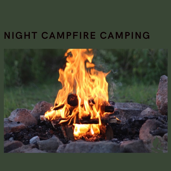 Night Campfire Camping