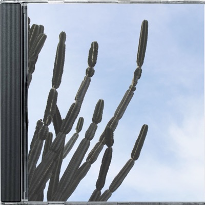 Sem Sinal (feat. Emersxxn) - Single