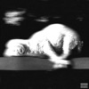 Lambchop Lamb Chop Lamb Chop - Single