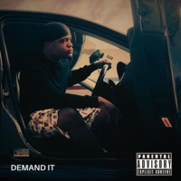 Demand It (Radio Edit) - Single - Tw1ncam