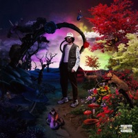 Bipolar - EP - Acid Flame