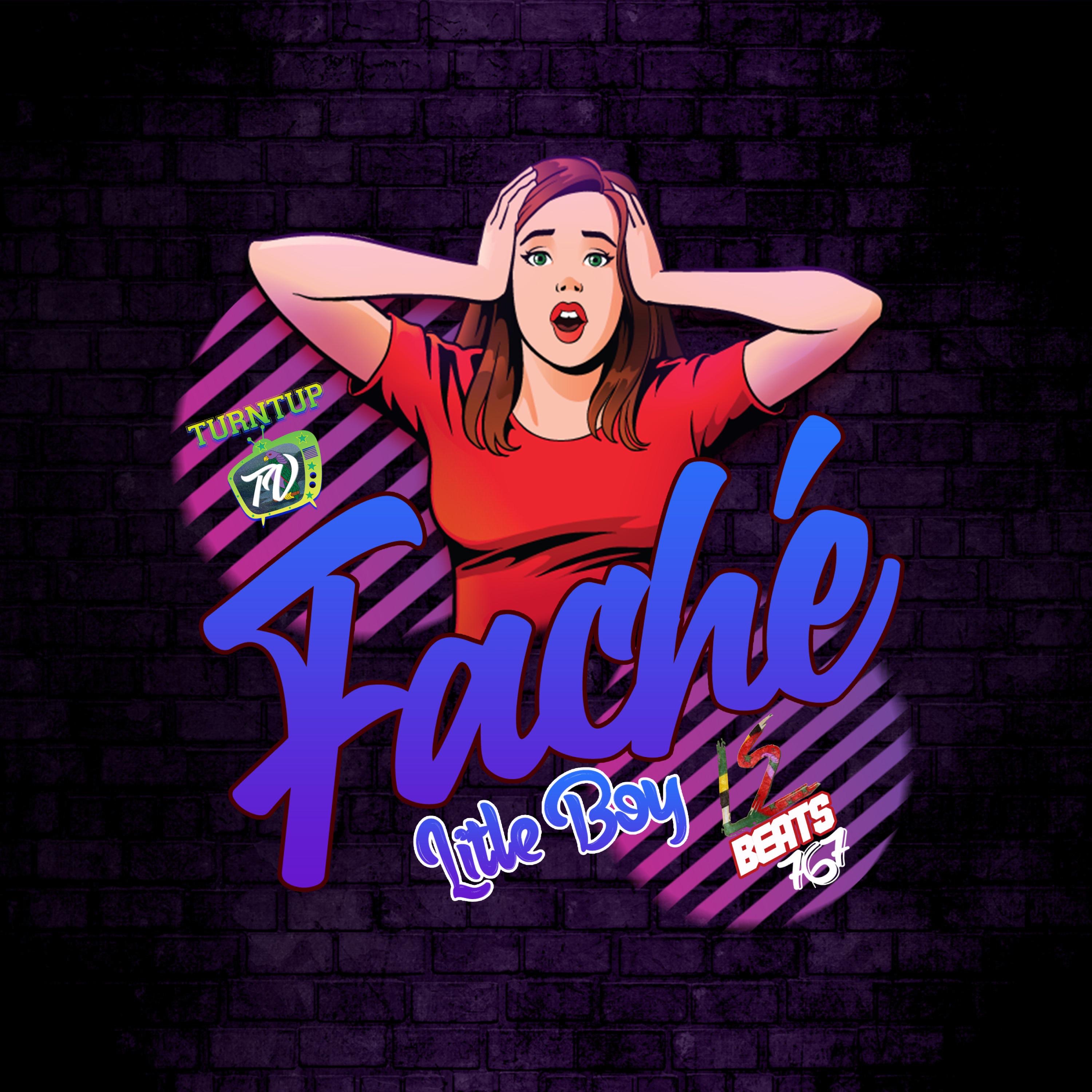 Litleboy faché (Radio Edit) - Single