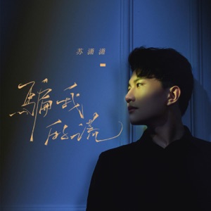 骗我的谎 - EP