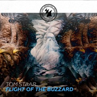 Flight of the Buzzard - Single - Tom Staar