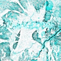 ARMAGEDDON (Sped Up) - Single - $cRVZVY