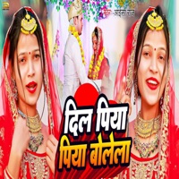 Dil Piya Piya Bolela - Single - Aaisha Raj