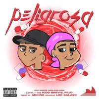 PELIGROSA - Single - Kiddbrevis