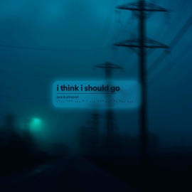 I Think I Should Go syos & shrxpnel
