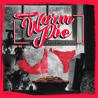 Something Like Warm Pie - Single - Troy Mathewz & Migg$