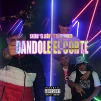 Dandole El Corte (feat. Tunechikidd & Bluesoloazul) - Single - Sheru 