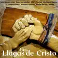Las Llagas De Cristo
