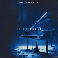 te esperaré - Single - Brandon Parasole & Dimelo Sam
