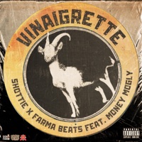 Vinaigrette (feat. Money Mogly) - Single - Shottie & Farmabeats