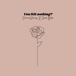 You Felt Nothing? - Single