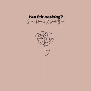 You Felt Nothing?