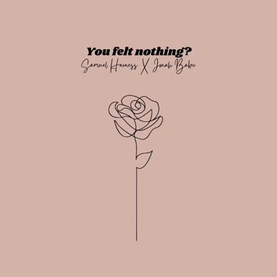 You Felt Nothing? - Single