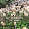 Kort er jorden nu min slægt - Single