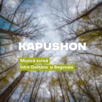 Muzica scrisa intre Golitino si Begovaia - Single - Kapushon