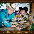 Divino  Donizete