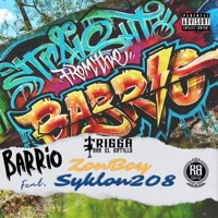 Barrio (feat. Zonboy & Syklon208) - Single - Trigga Flores