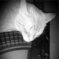 Move! - Single - BLXCO