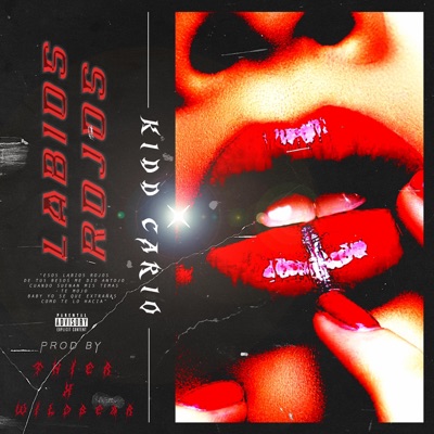 LABIOS ROJOS (feat. WildBear) - Single
