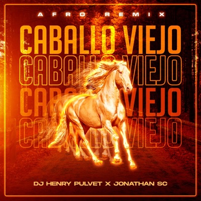 Caballo Viejo Afro Remix - Single