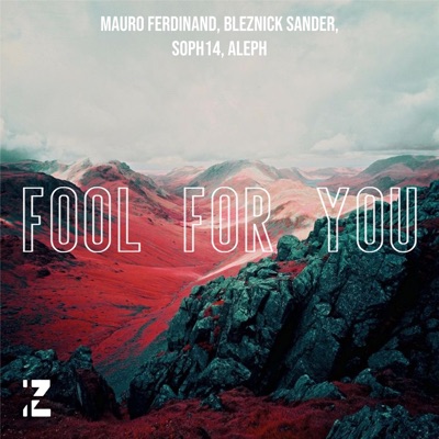Fool For You (feat. ALEPH & Soph14) - Single